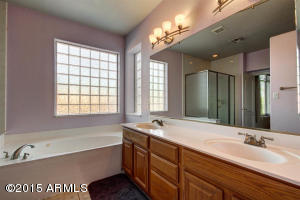 248 E Pinto Ct, Gilbert, AZ 85296 photo 25