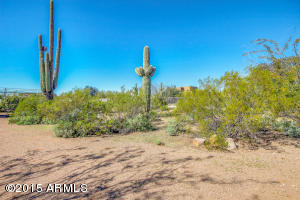 7630 E Oasis St, Mesa, AZ 85207 photo 46