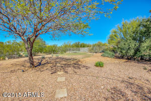 7630 E Oasis St, Mesa, AZ 85207 photo 45