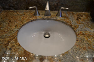 3317 E Isabella Ave, Mesa, AZ 85204 photo 20