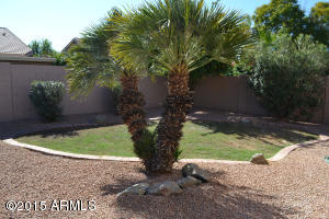 3317 E Isabella Ave, Mesa, AZ 85204 photo 26