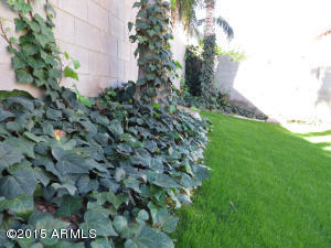 3285 E Mayberry Ave, Gilbert, AZ 85297 photo 51