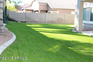 3285 E Mayberry Ave, Gilbert, AZ 85297 photo 49
