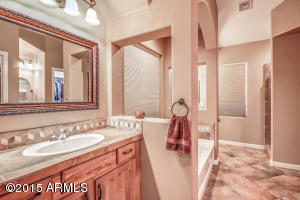 10238 E Lakeview Ave, Mesa, AZ 85209 photo 34