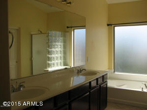 10709 E Lobo Ave, Mesa, AZ 85209 photo 9