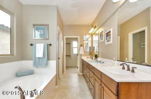 3946 E Ficus Way, Gilbert, AZ 85298 photo 23