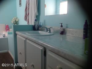 185 N Conestoga Rd, Apache Junction, AZ 85119 photo 16