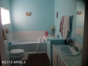 185 N Conestoga Rd, Apache Junction, AZ 85119 photo 15