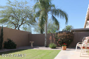 7131 E Jacob Ave, Mesa, AZ 85209 photo 17