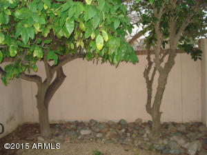 822 E 9th Pl, Mesa, AZ 85203 photo 61
