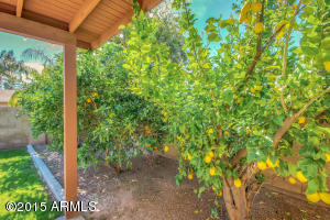 1357 E Chilton Dr, Tempe, AZ 85283 photo 33