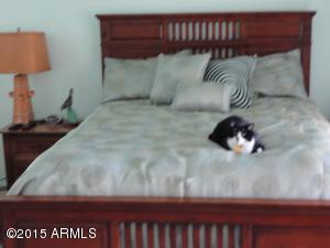 5862 Enrose St, Mesa, AZ 85205 photo 26