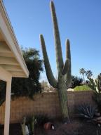 5862 Enrose St, Mesa, AZ 85205 photo 12