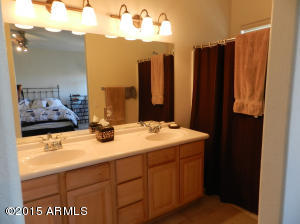 3150 E Beardsley Rd #1101, Phoenix, AZ 85050 photo 17