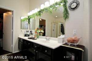 10027 E Pantera Ave, Mesa, AZ 85212 photo 22
