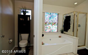 10027 E Pantera Ave, Mesa, AZ 85212 photo 21