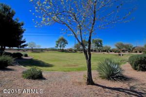 10027 E Pantera Ave, Mesa, AZ 85212 photo 4