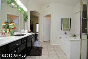 10027 E Pantera Ave, Mesa, AZ 85212 photo 23