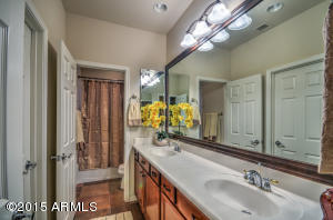 3974 E Crest Ln, Phoenix, AZ 85050 photo 19