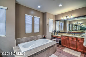 3974 E Crest Ln, Phoenix, AZ 85050 photo 45