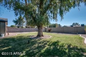 405 E Scott Ave, Gilbert, AZ 85234 photo 41