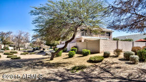 894 S Oak St, Gilbert, AZ 85233 photo 42