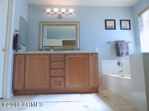 2897 E Terrace Ave, Gilbert, AZ 85234 photo 18
