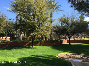 8518 E Kiva Ave, Mesa, AZ 85209 photo 15