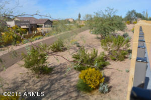 8949 E Ivyglen St, Mesa, AZ 85207 photo 7