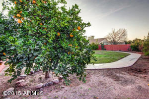 518 N Creston St, Mesa, AZ 85213 photo 24
