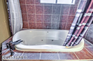 5054 E Downing St, Mesa, AZ 85205 photo 41