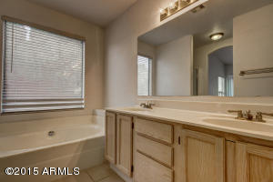 4256 E Jason Dr, Phoenix, AZ 85050 photo 13