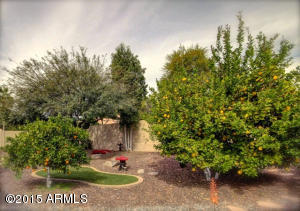 4030 E Lavender Ln, Phoenix, AZ 85044 photo 37