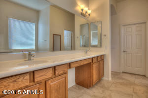 3823 E Constance Way, Phoenix, AZ 85042 photo 20