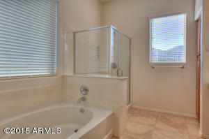 3823 E Constance Way, Phoenix, AZ 85042 photo 21