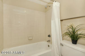 6728 E Ivy St, Mesa, AZ 85205 photo 16