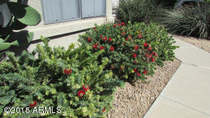 3324 E Blackhawk Dr, Phoenix, AZ 85050 photo 3