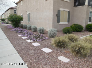 971 S Brewer Dr, Gilbert, AZ 85296 photo 34