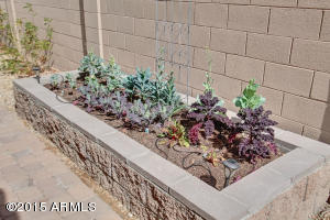 2425 W Long Shadow Trl, Phoenix, AZ 85085 photo 30