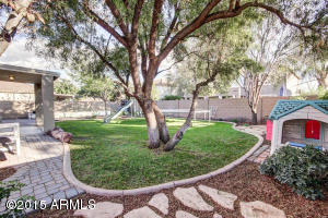 2555 E Harrison Ct, Gilbert, AZ 85295 photo 27