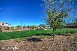 2925 E Longhorn Dr, Gilbert, AZ 85297 photo 21