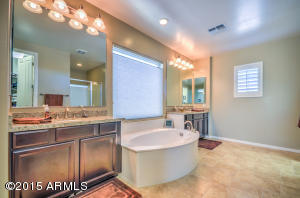 2925 E Longhorn Dr, Gilbert, AZ 85297 photo 54