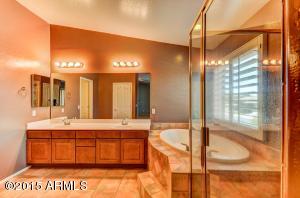 2688 E Oakland St, Gilbert, AZ 85295 photo 41
