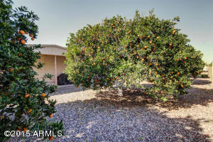 3160 E Main St #63, Mesa, AZ 85213 photo 28