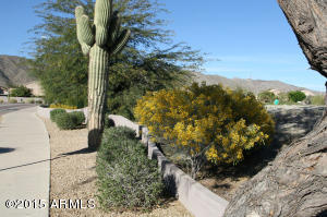 16632 S 15th Dr, Phoenix, AZ 85045 photo 45