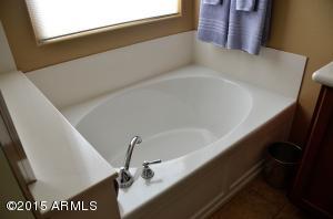 1728 E Indigo St, Gilbert, AZ 85298 photo 18