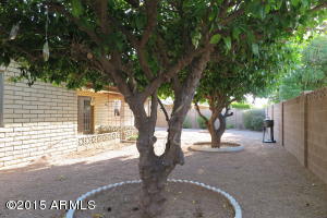 5130 Enid Cir, Mesa, AZ 85206 photo 4