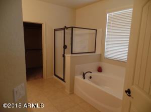 11012 E Quarry Cir, Mesa, AZ 85212 photo 18
