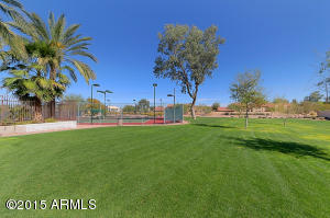 3916 E Park Ave, Phoenix, AZ 85044 photo 30