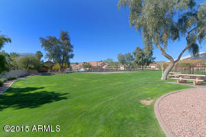 3916 E Park Ave, Phoenix, AZ 85044 photo 31